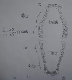 2.webp.jpg 2.webp.jpg