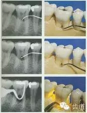 8.webp.jpg 8.webp.jpg