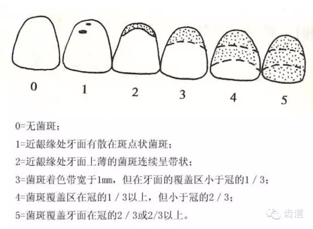 2.webp.jpg 2.webp.jpg