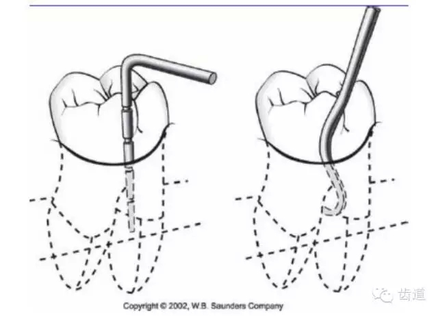 9.webp.jpg 9.webp.jpg