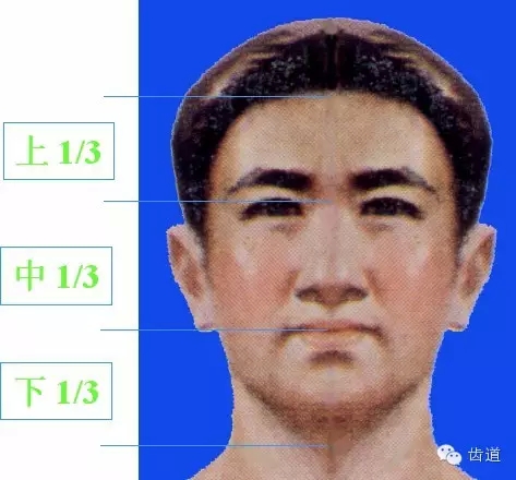 牙醫(yī)基礎(chǔ)知識(shí):口腔頜面部應(yīng)用解剖生理 牙醫(yī)基礎(chǔ)知識(shí):口腔頜面部應(yīng)用解剖生理