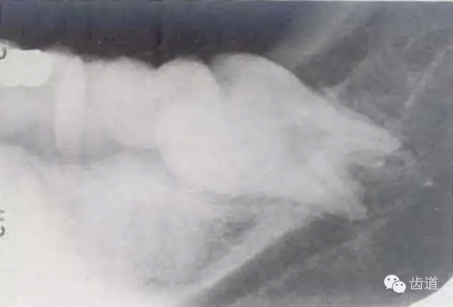 9.webp.jpg 9.webp.jpg