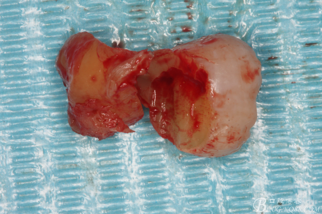 20141021210136_37175.jpg 20141021210136_37175.jpg