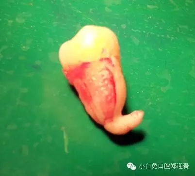 640.webp (5).jpg 640.webp (5).jpg