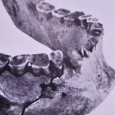 1.webp.jpg 1.webp.jpg