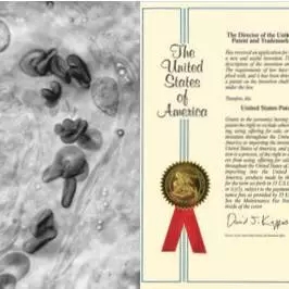 4.webp.jpg 4.webp.jpg