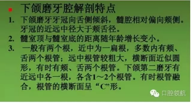 開(kāi)髓術(shù) 開(kāi)髓術(shù)