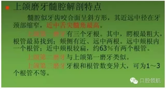 開(kāi)髓術(shù) 開(kāi)髓術(shù)