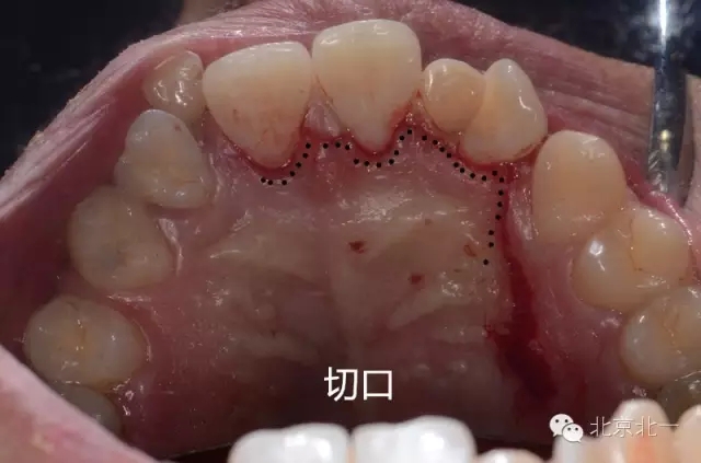 7.webp.jpg 7.webp.jpg