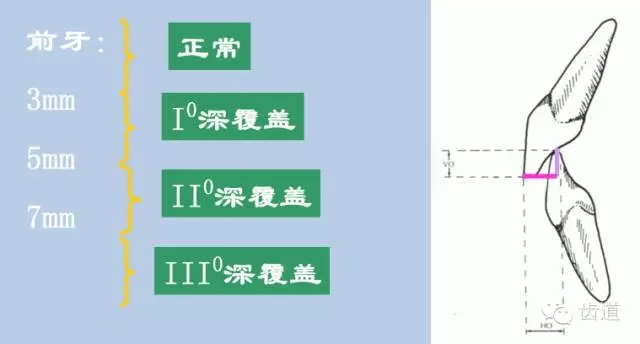 12.webp.jpg 12.webp.jpg