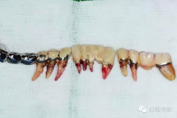 3.webp.jpg 3.webp.jpg