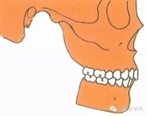 21.webp.jpg 21.webp.jpg