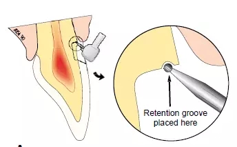 640.webp (1).jpg 640.webp (1).jpg