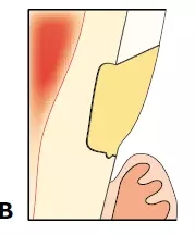 640.webp (4).jpg 640.webp (4).jpg