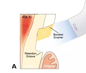 640.webp (6).jpg 640.webp (6).jpg