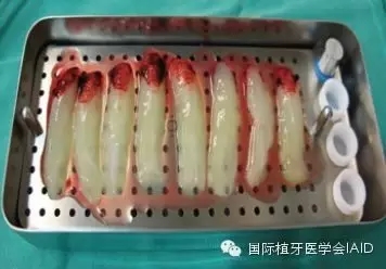 5.webp.jpg 5.webp.jpg