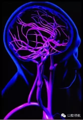 640.webp.jpg 640.webp.jpg