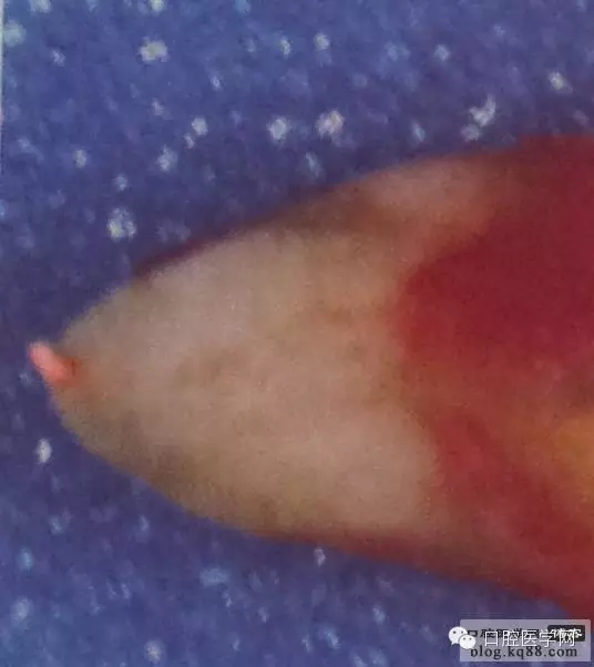 640.webp (2).jpg 640.webp (2).jpg