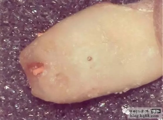 640.webp (3).jpg 640.webp (3).jpg