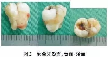 10.webp.jpg 10.webp.jpg