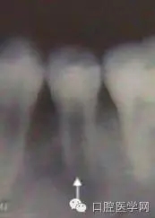 1.webp.jpg 1.webp.jpg