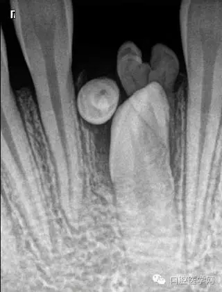 7.webp.jpg 7.webp.jpg