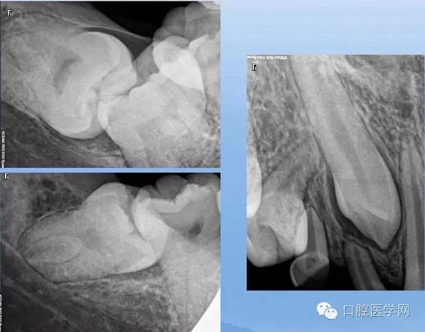 10.webp.jpg 10.webp.jpg