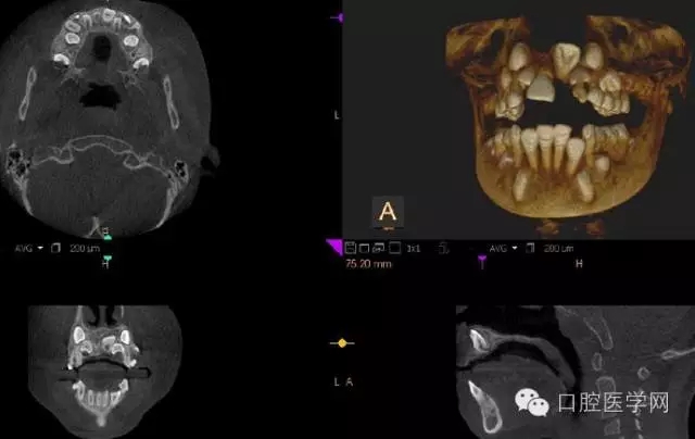 12.webp.jpg 12.webp.jpg