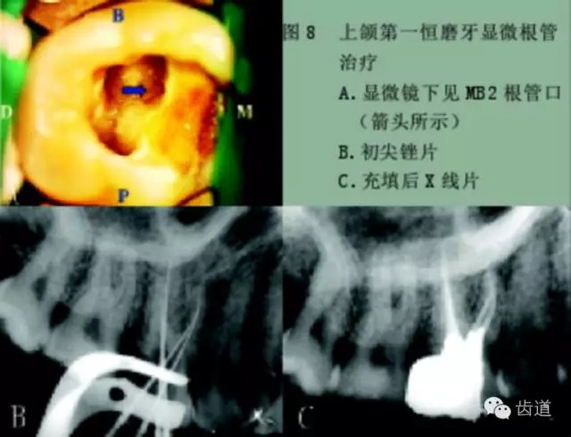 640.webp.jpg 640.webp.jpg