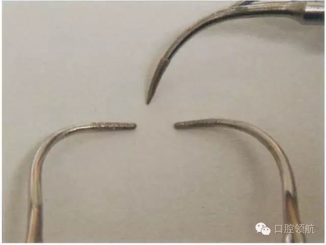 3.webp.jpg 3.webp.jpg