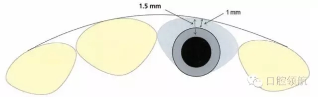 6.webp.jpg 6.webp.jpg