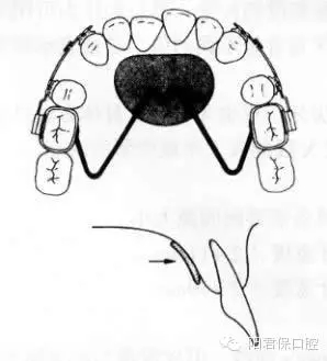 2.webp.jpg 2.webp.jpg