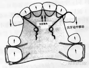 5.webp.jpg 5.webp.jpg