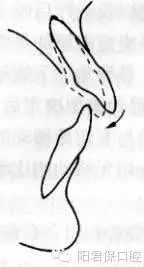 7.webp.jpg 7.webp.jpg