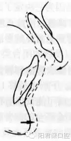 9.webp.jpg 9.webp.jpg