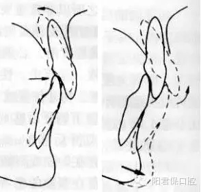 10.webp.jpg 10.webp.jpg