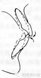 13.webp.jpg 13.webp.jpg