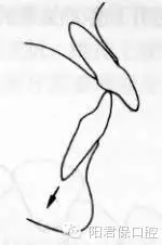 16.webp.jpg 16.webp.jpg