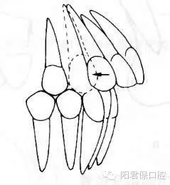 21.webp.jpg 21.webp.jpg