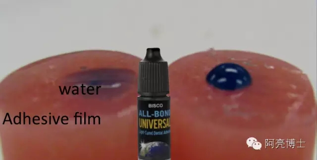 10.webp.jpg 10.webp.jpg