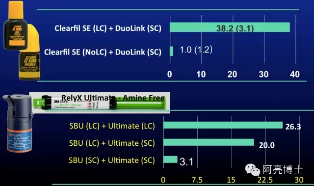 13.webp.jpg 13.webp.jpg