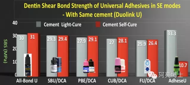 15.webp.jpg 15.webp.jpg