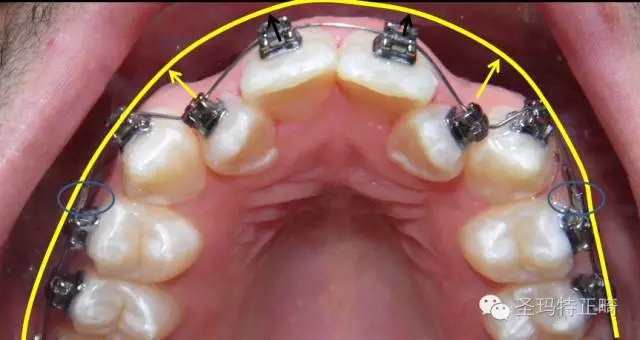 4.webp.jpg 4.webp.jpg