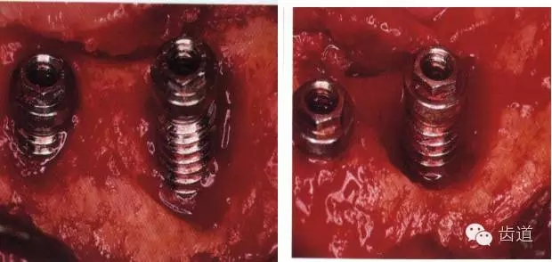 4.webp.jpg 4.webp.jpg