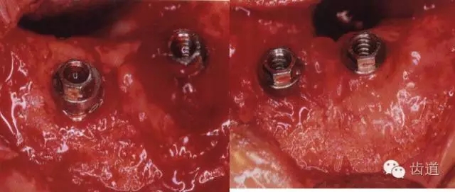 6.webp.jpg 6.webp.jpg