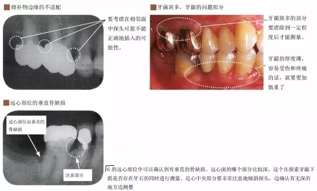 1.webp.jpg 1.webp.jpg