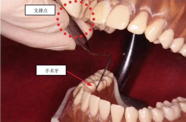 5.webp.jpg 5.webp.jpg