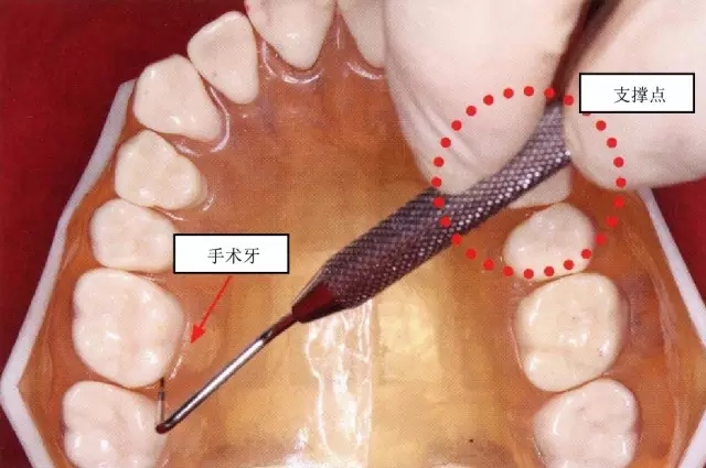 6.webp.jpg 6.webp.jpg