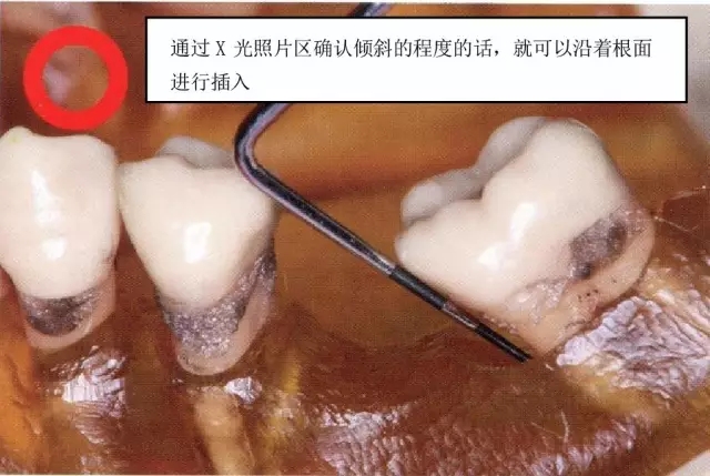 8.webp.jpg 8.webp.jpg