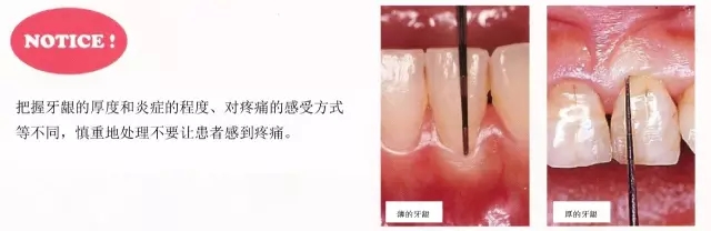 13.webp.jpg 13.webp.jpg